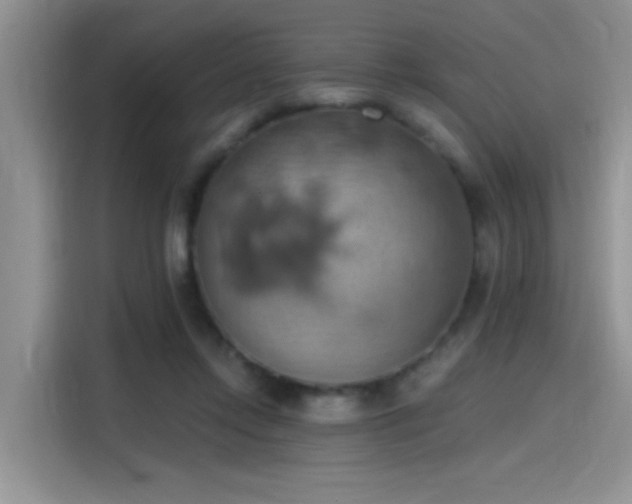 X0000115590358200911171034