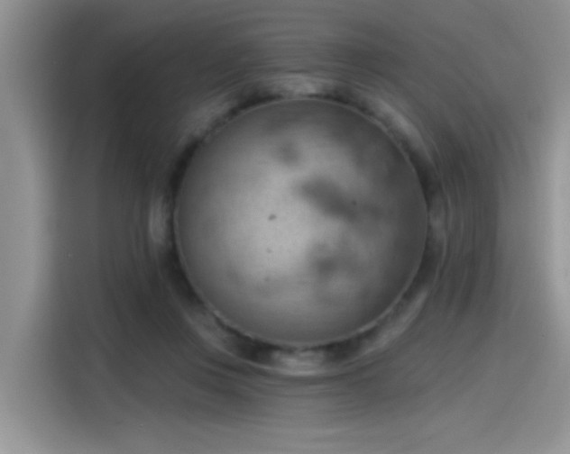 X0000115590359200911171034