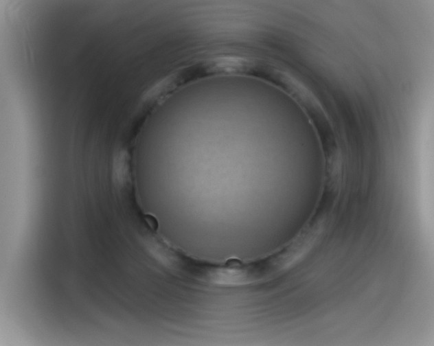 X0000115590361200911171034
