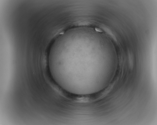 X0000115590362200911171034