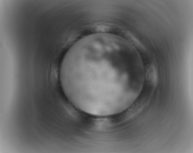 X0000115590363200911171034