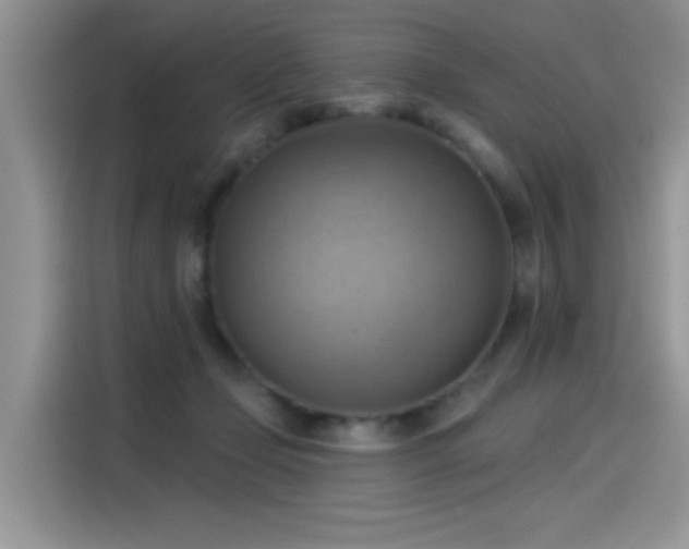 X0000115590365200911171034