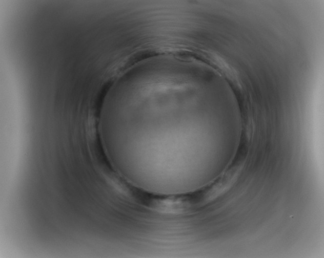 X0000115590366200911171034