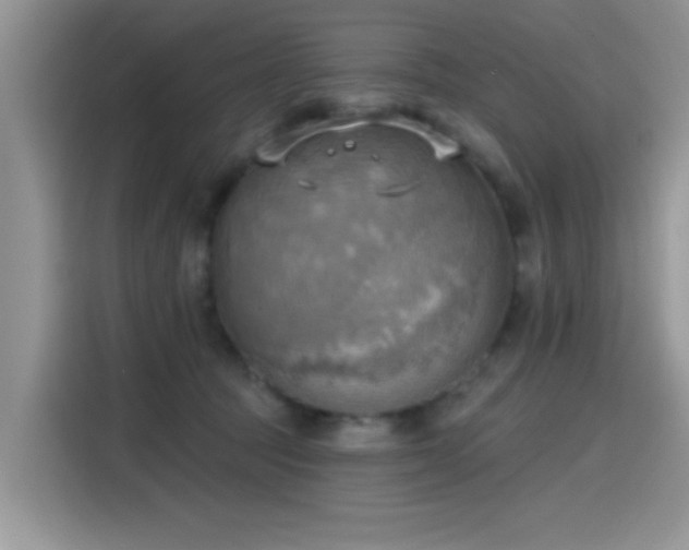 X0000115590369200911171034