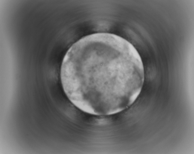 X0000115590370200911171034
