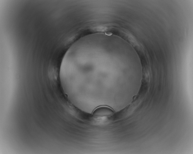 X0000115590374200911171034