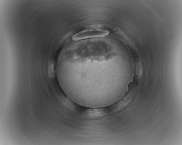 X0000115590378200911171034