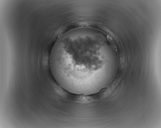 X0000115590379200911171034