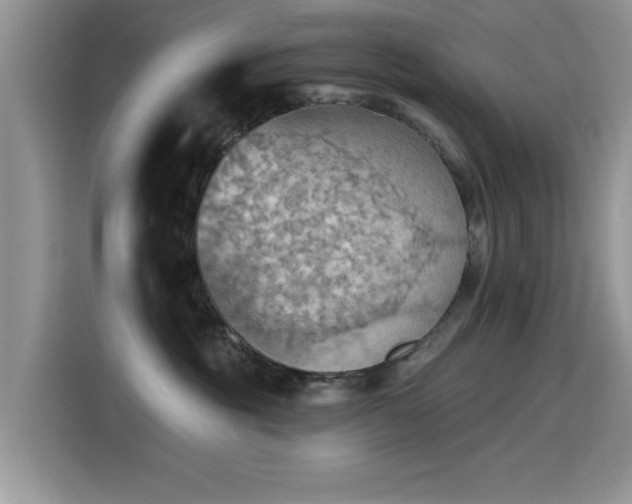 X0000115590381200911171034