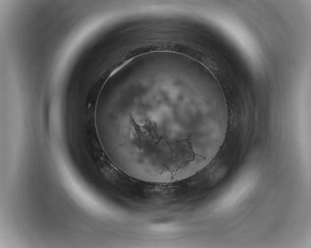 X0000115590383200911171034