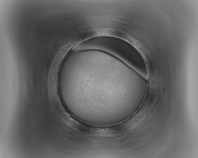 X0000115590385200911171034