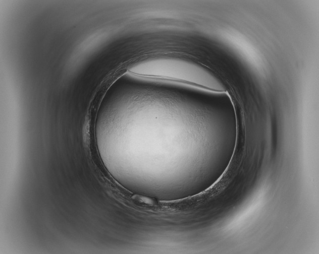 X0000115590387200911171034