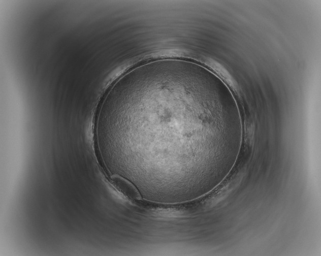 X0000115590389200911171034