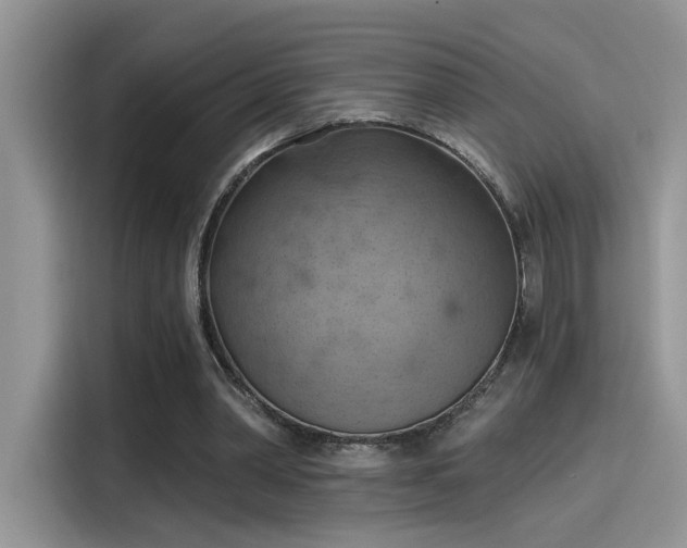 X0000115590390200911171034