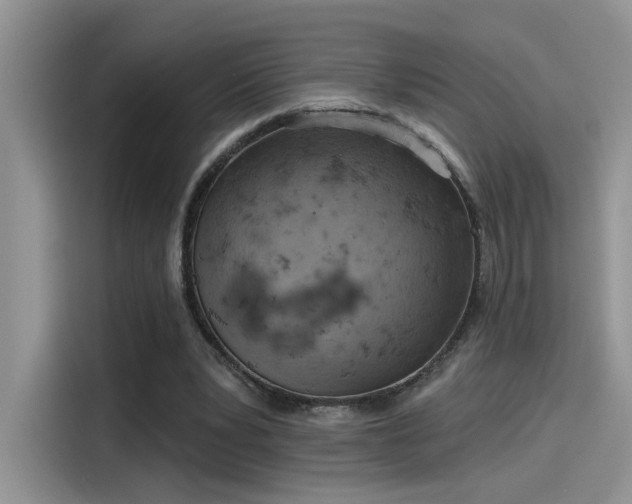 X0000115590391200911171034