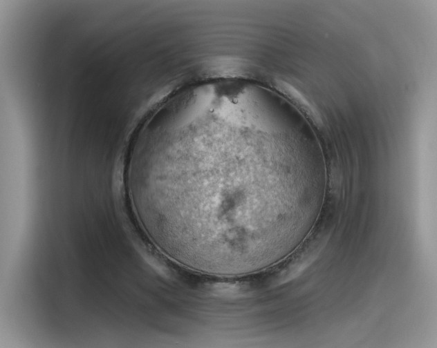 X0000115590394200911171034