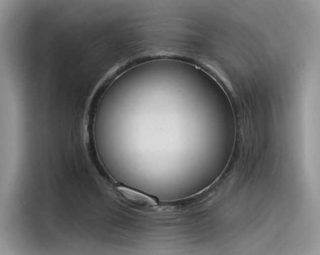 X0000115590395200911171034