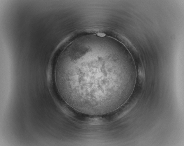 X0000115590396200911171034