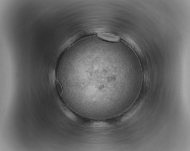 X0000115590397200911171034