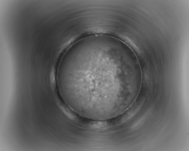 X0000115590398200911171034