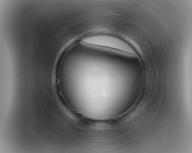 X0000115590399200911171034