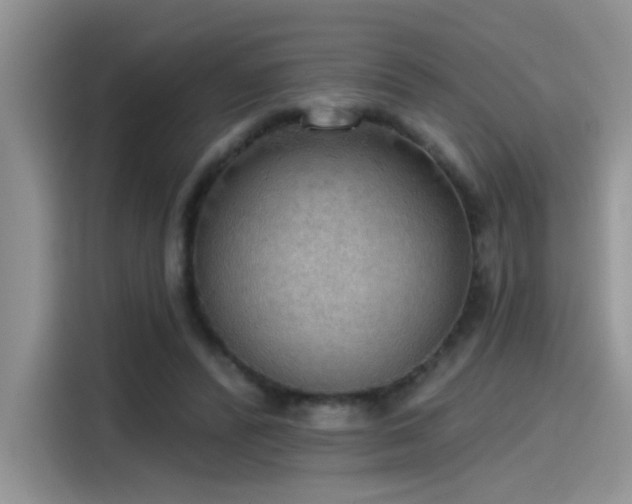 X0000115590400200911171034