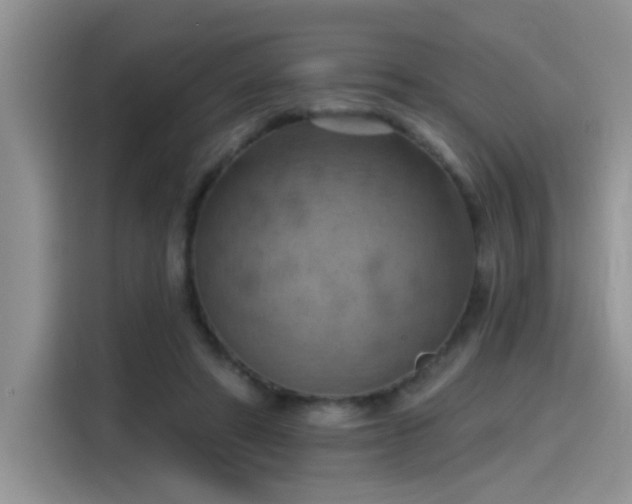 X0000115590402200911171034