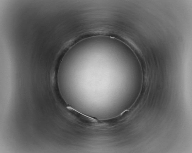 X0000115590403200911171034