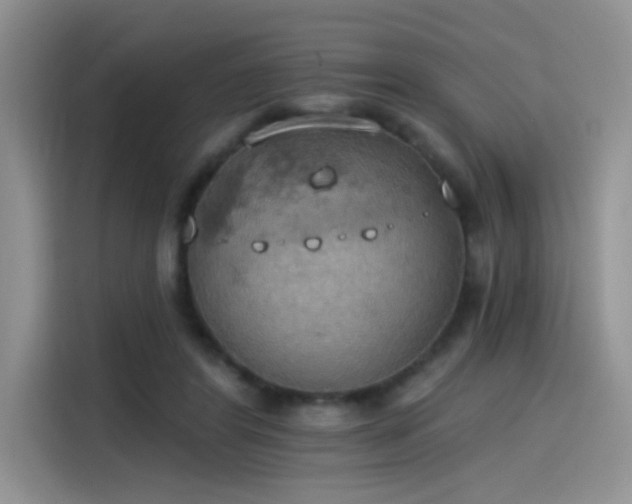X0000115590404200911171034