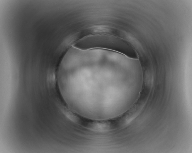 X0000115590405200911171034