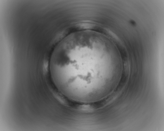 X0000115590406200911171034
