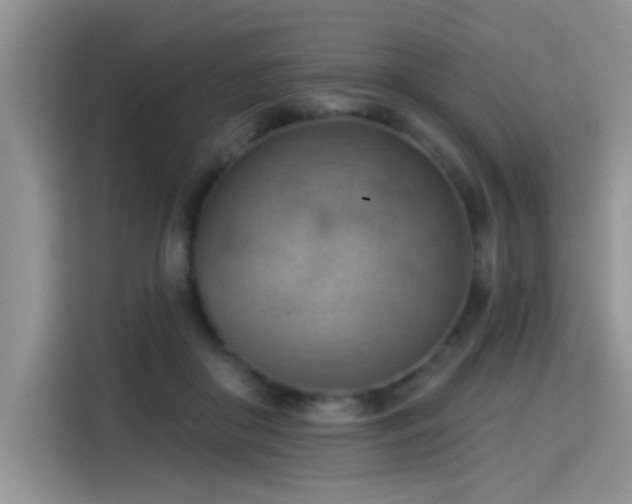 X0000115590410200911171034