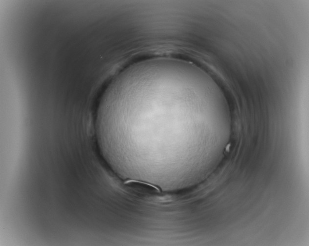 X0000115590411200911171034