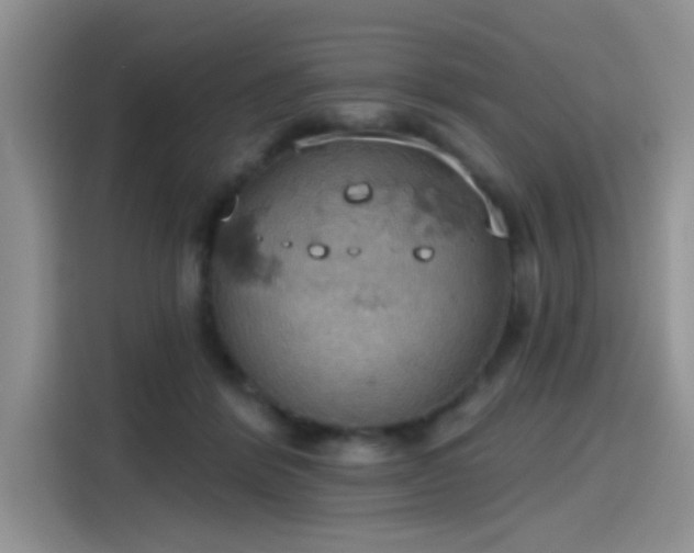 X0000115590412200911171034