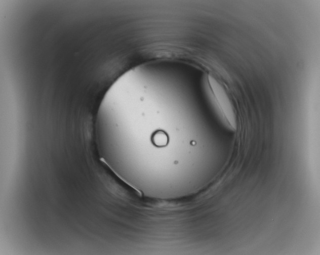 X0000115590413200911171034