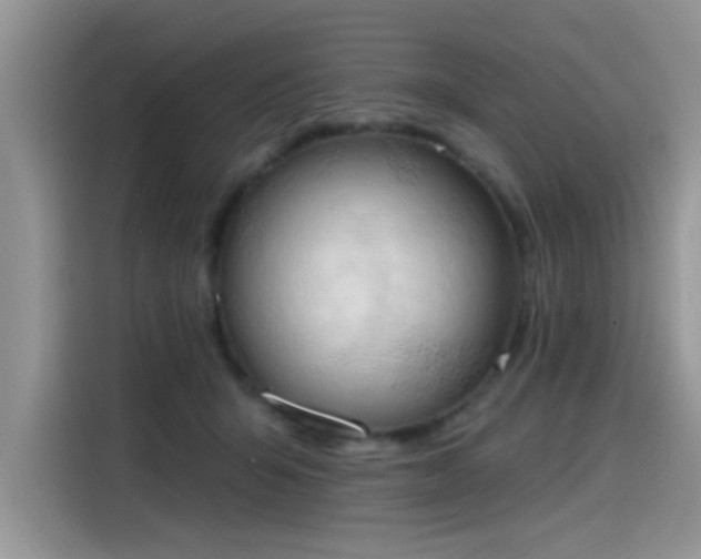 X0000115590415200911171033