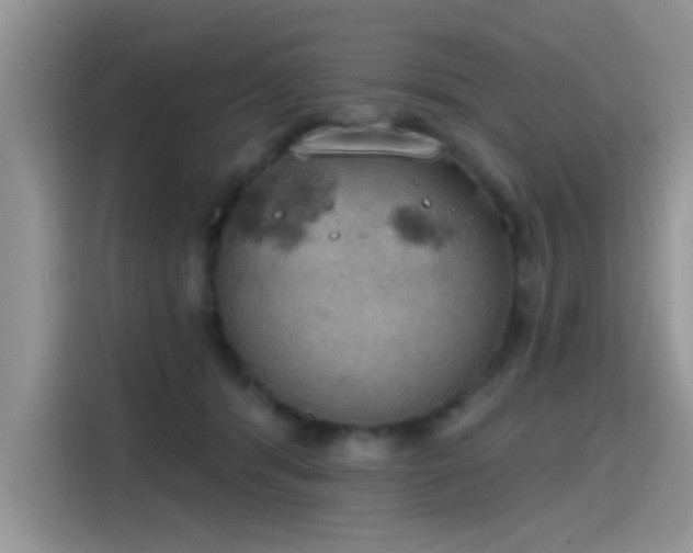 X0000115590416200911171033