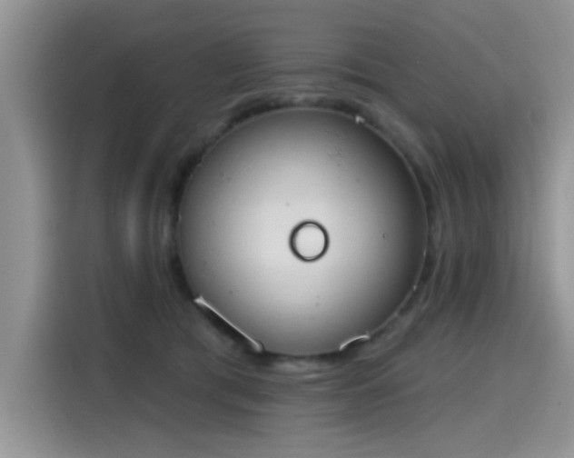 X0000115590417200911171033