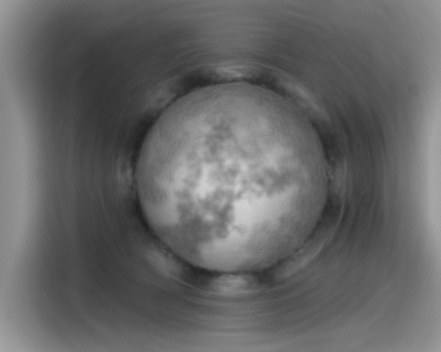X0000115590418200911171033