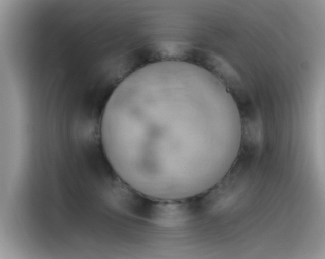X0000115590419200911171033
