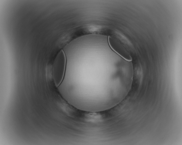 X0000115590421200911171033