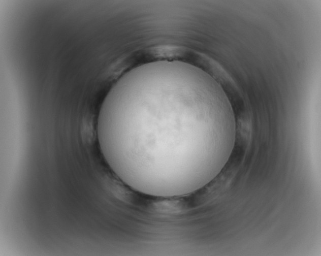 X0000115590422200911171033