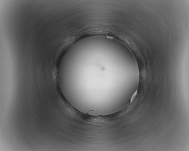 X0000115590423200911171033