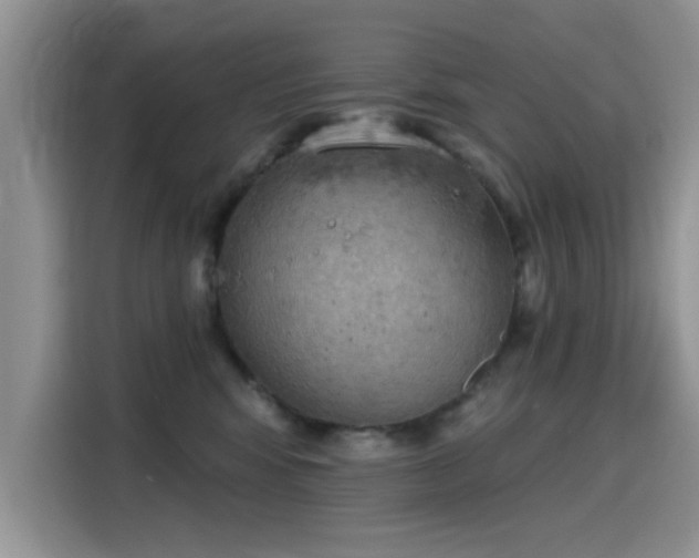 X0000115590424200911171033