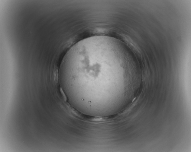 X0000115590425200911171033