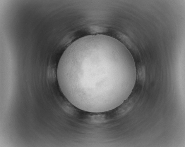 X0000115590426200911171033