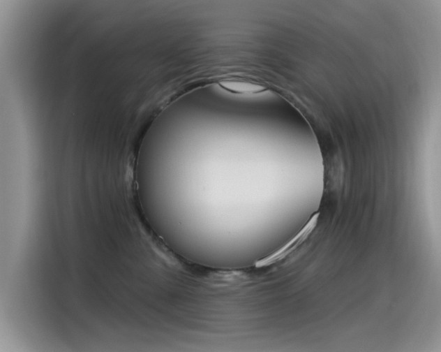 X0000115590427200911171033