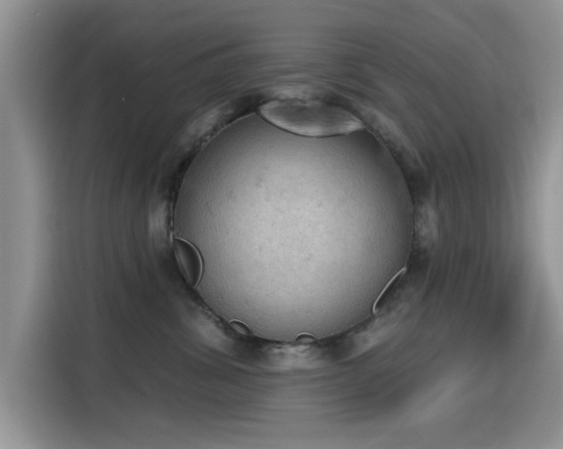 X0000115590428200911171033