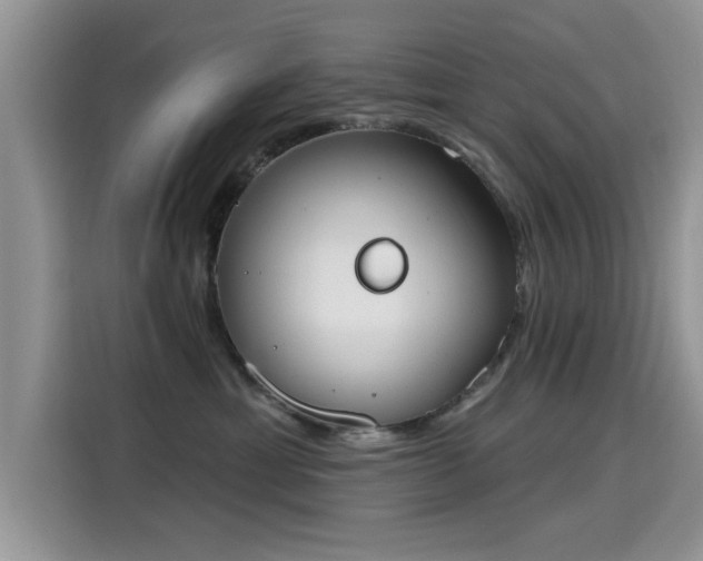 X0000115590429200911171033