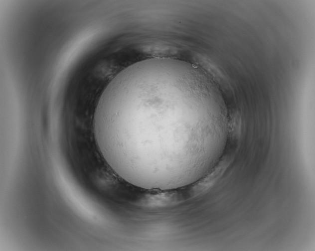X0000115590430200911171033